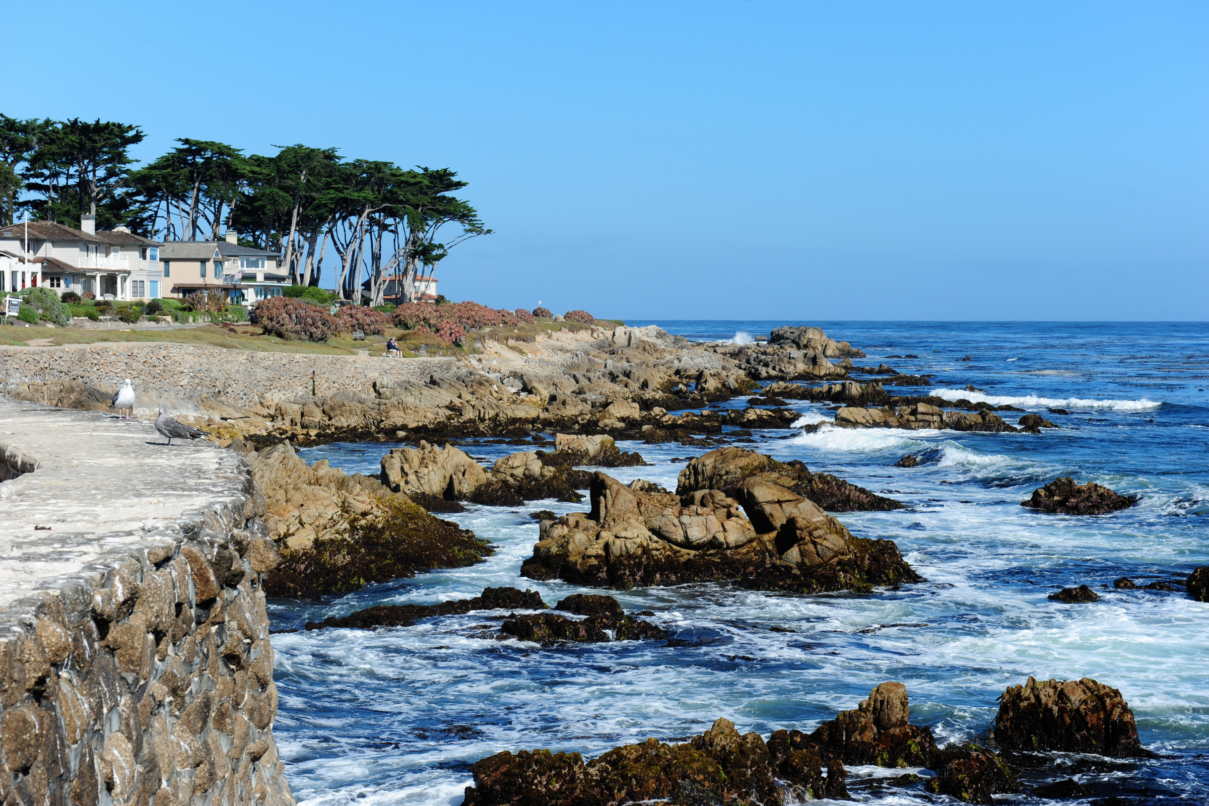monterey, california.webp